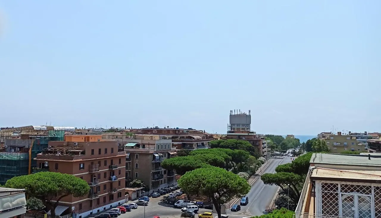 Attico Ostia contacts